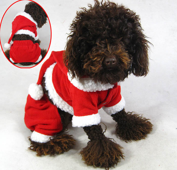 Santa dog Suit