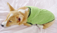 Diamond pattern with Hoodie Green